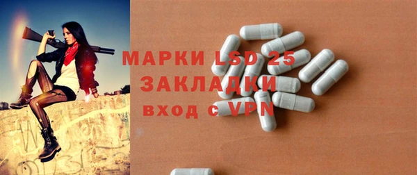 индика Надым