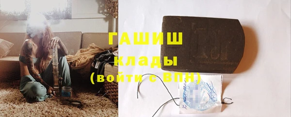 индика Надым