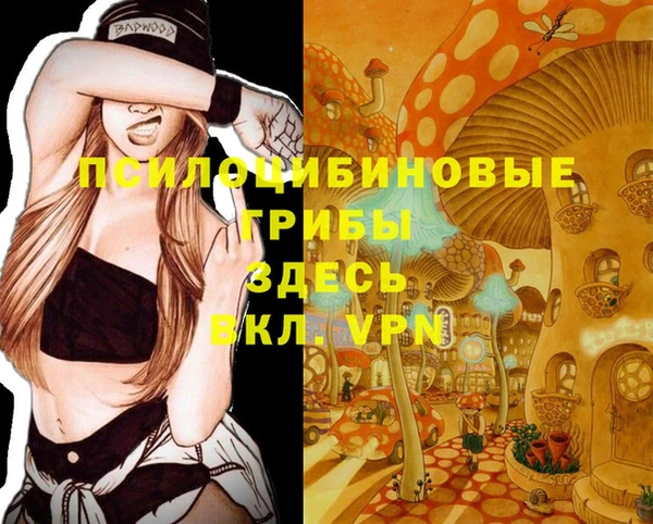 индика Надым