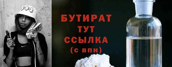 индика Надым