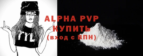 индика Надым