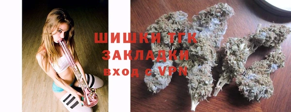 индика Надым