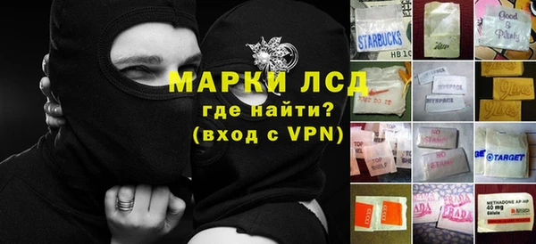 индика Надым
