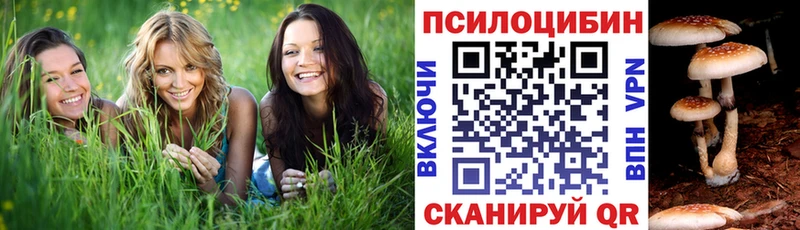 mega как войти  Кириши  Псилоцибиновые грибы Psilocybe  цены наркотик 