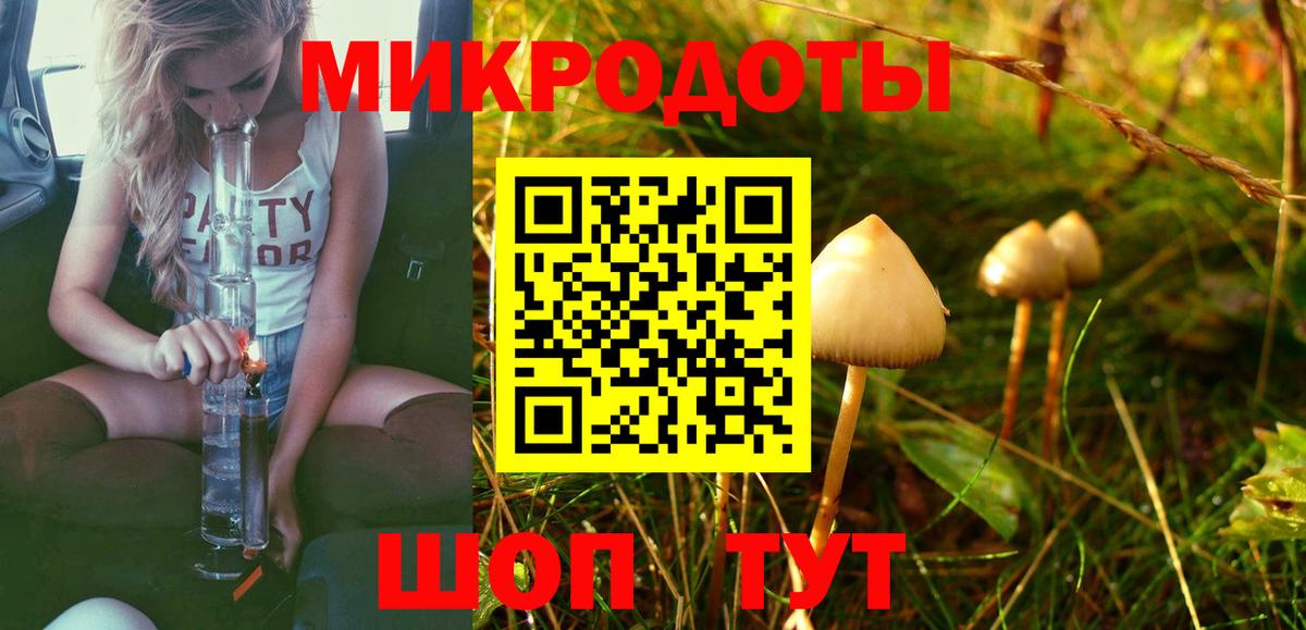 Кириши  Галлюциногенные грибы GOLDEN TEACHER  дарнет шоп  Вход с VPN 